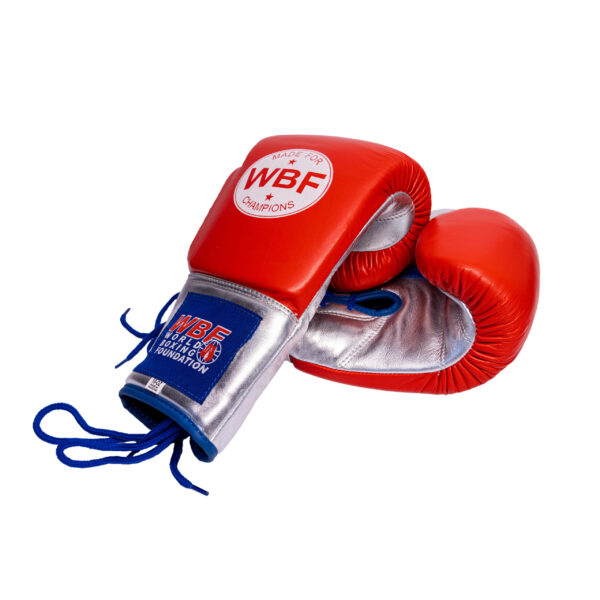 Pro Boxhandschuhe WBF Foundation 10 oz