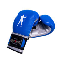 Boxhandschuhe Blau / Silber