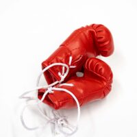 Mini Boxhandschuhe Rot (WBF)