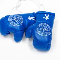 Mini Boxhandschuhe Blau (WBF)