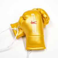 Mini Boxhandschuhe Gold