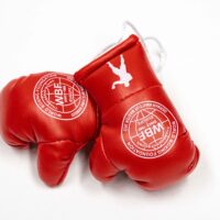 Mini Boxhandschuhe Rot (WBF)